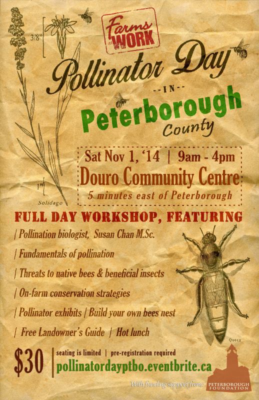 Pollinator Day in Peterborough County