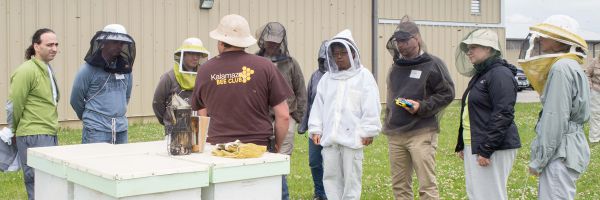 Participants around a hive during a workshop